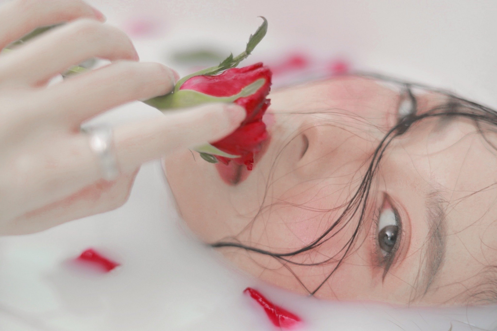 Wallpaper : belle 2048x1365 - cd1091 - 2227560 - HD Wallpapers - WallHere