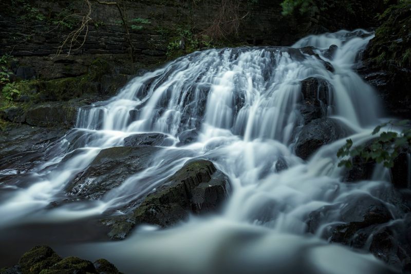pták,modrá obloha,jasný,uklidnit,kaňon,zblízka