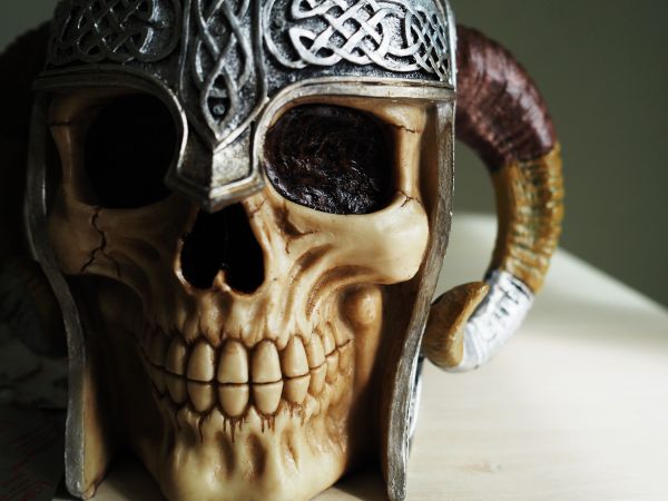 glasses,vision care,eyewear,ART,666,head