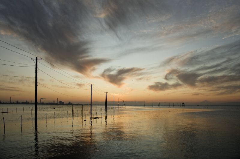 KUNST,asiatisk,bambus,sort og hvid,blå,ceremoni