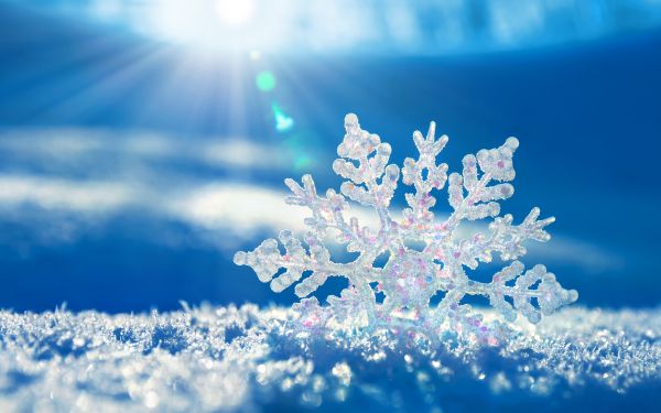 breeze,cold,snow,sunlight,white,winter