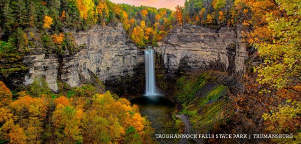 autumn,forest,nature,hike,outdoors,photography