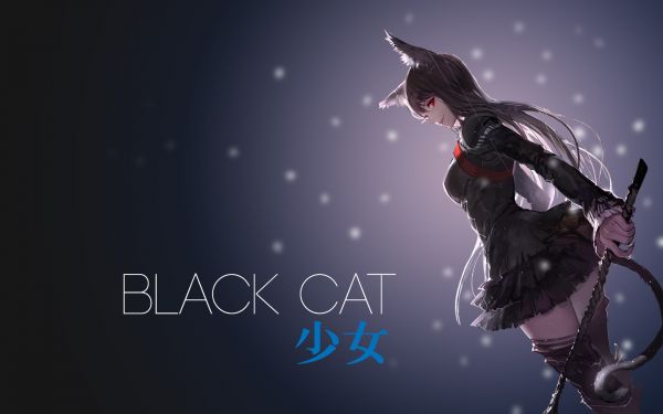 anime,neko,girl,sexy
