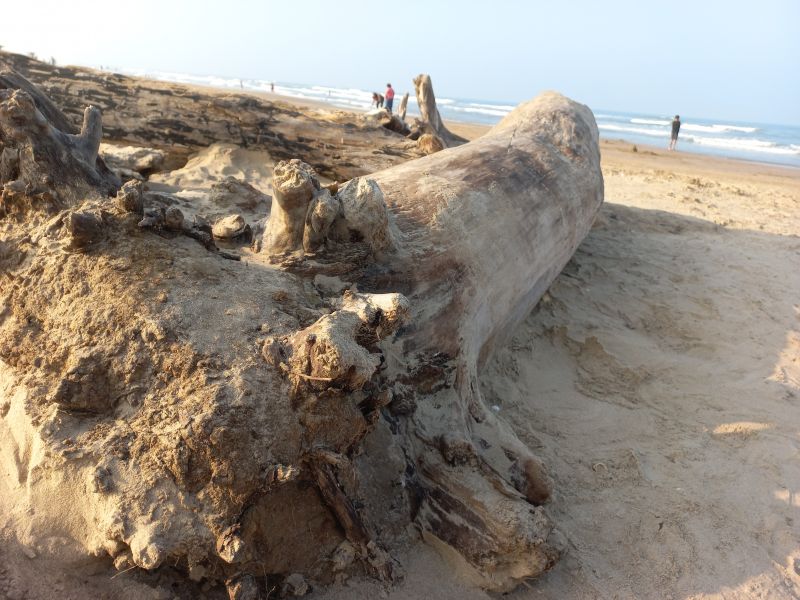 pláž,písek,dovolená