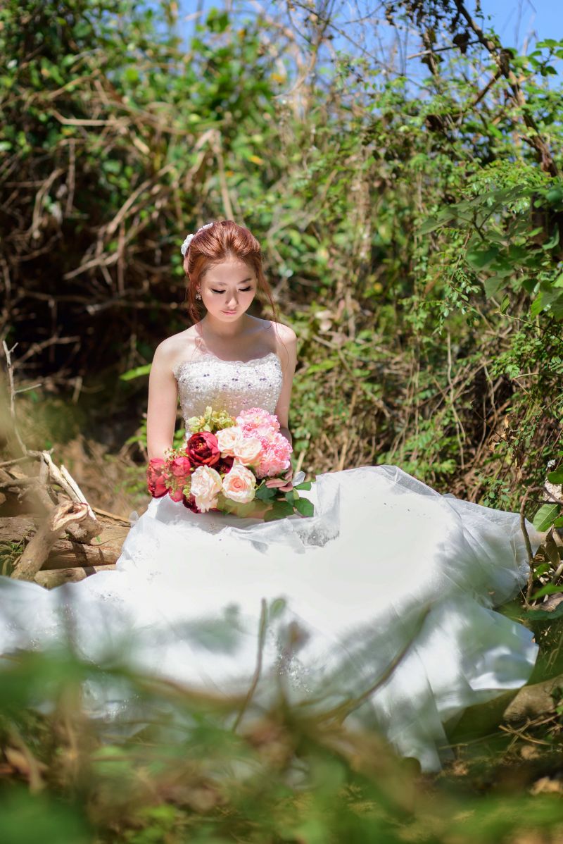 buket,afdeling,blomst,Skov,kjole,blad