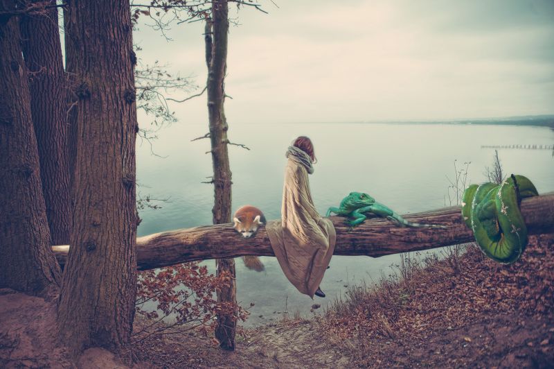 einsam,Tiere,Fantasie,Wald,gefroren,Mädchen