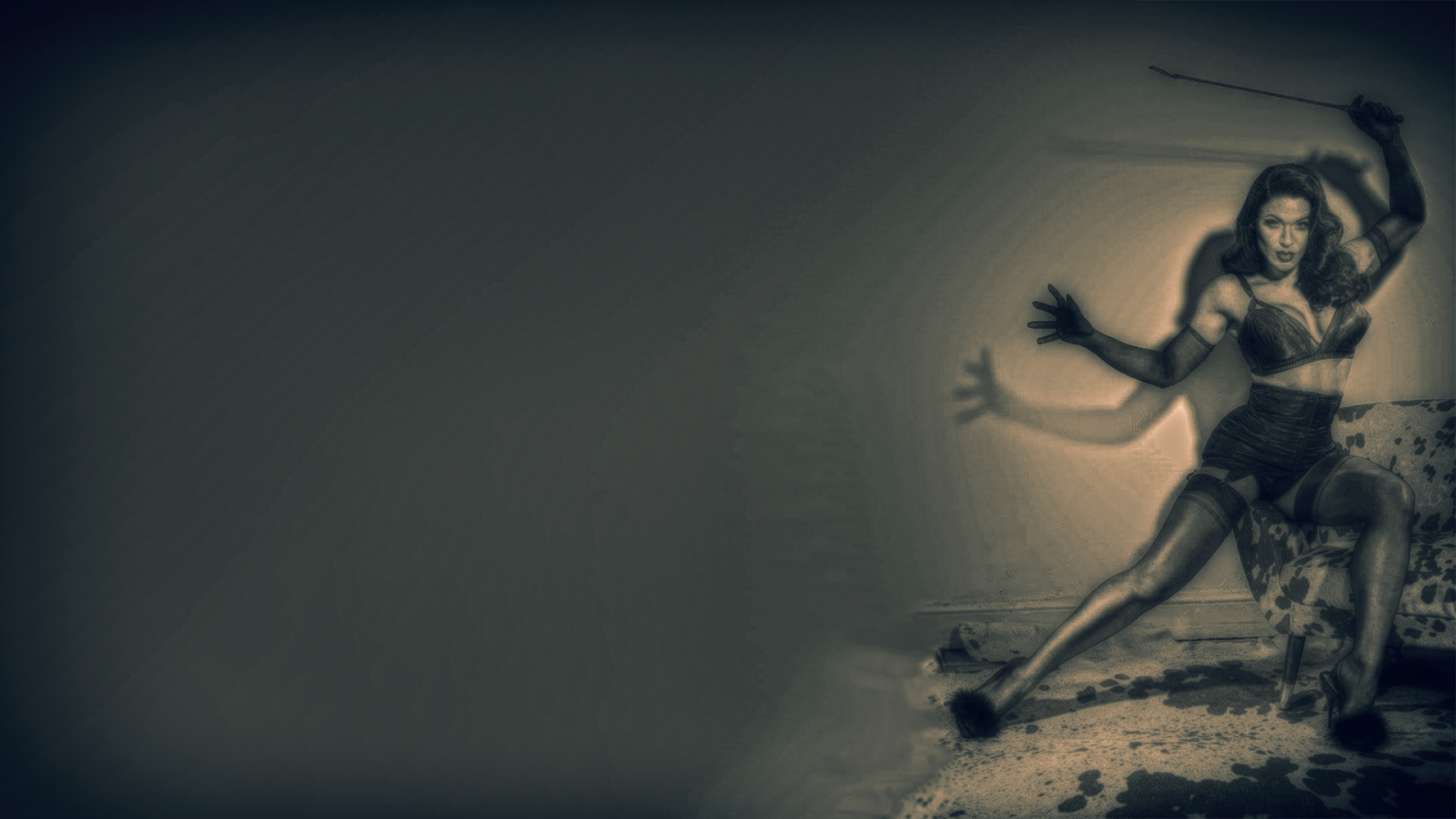 Wallpaper : cartoon, leather, lingerie, mistress, vintage 1920x1080