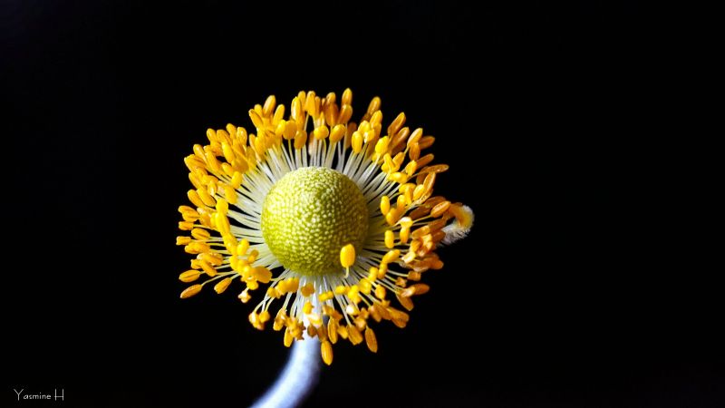 4k,tapeta na zeď