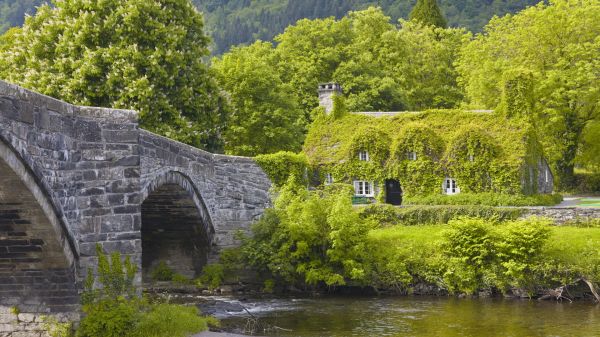 green,nature,casa