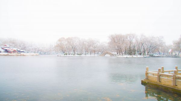 natural,water,sky,Natural landscape,tree,lake