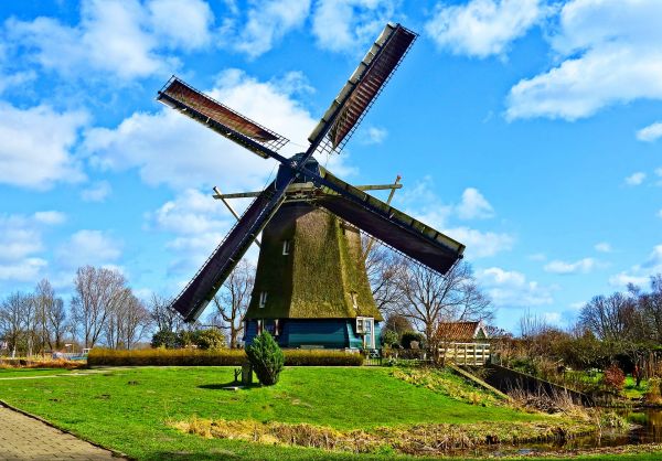 windmill,cloud,sky,plant,mill,wheel
