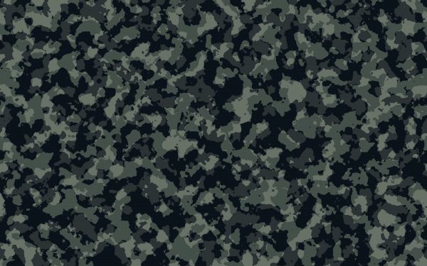 camouflage,warrior