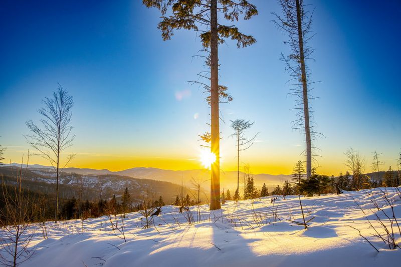 die Architektur,Blue hour,blauer Himmel,Verschwommener Hintergrund,Bokeh,brick building