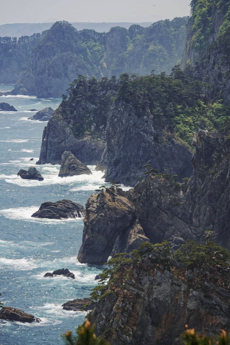 KUNST,asiatisk,bambus,sort og hvid,blå,ceremoni