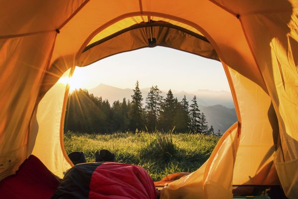 forest,morning,nature,outdoors,camping,cozy