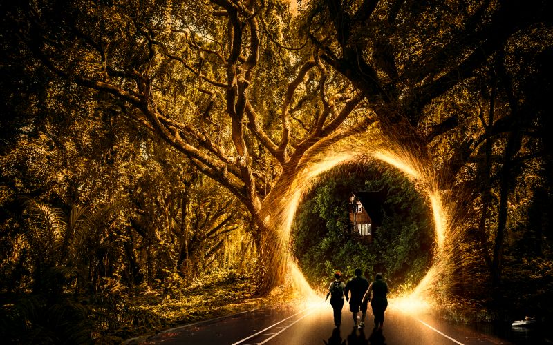 pădure,Photoshop,first attempt,familie,portal,efect