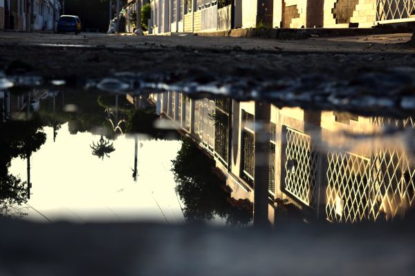 agua,charco,reflection,reflejos