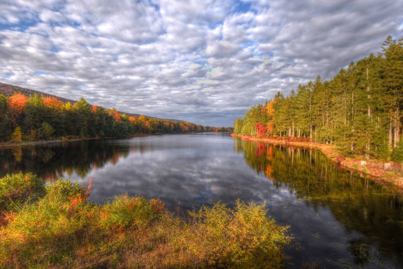 fugl,blå himmel,lyse,berolige,canyon,tæt på