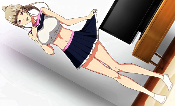 anime,ecchi,hentai,wallpaper,skirt,top
