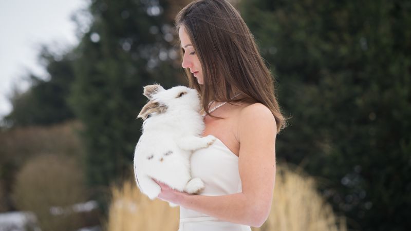 Królik,seksowny,kobiety