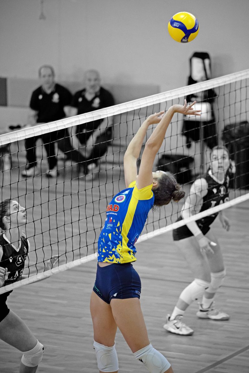 akce, sportovec, míč, trenér, soutěž, soud