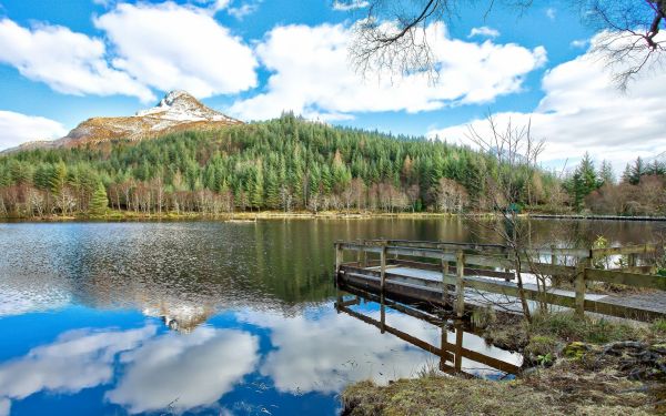 skog,hd,grave,innsjø,fjell,himmel