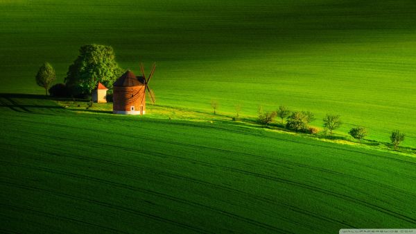 wallpapers