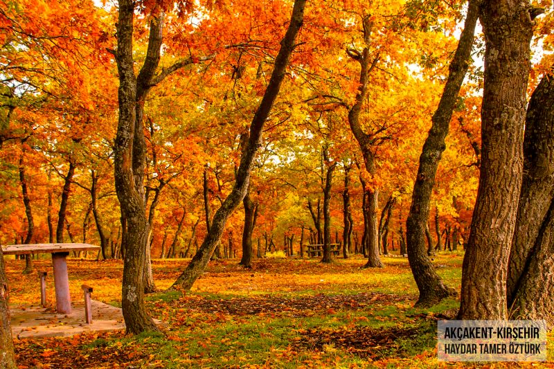 Турция,снимка