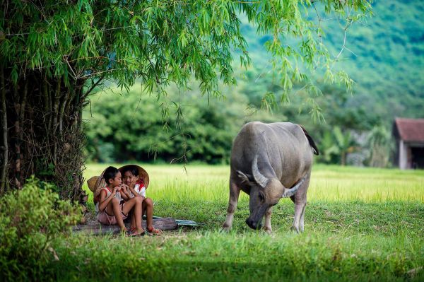 country,Vietnam,children
