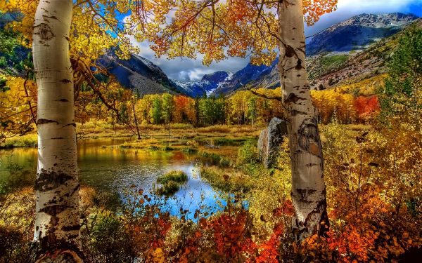 nature,h,munti,toamna