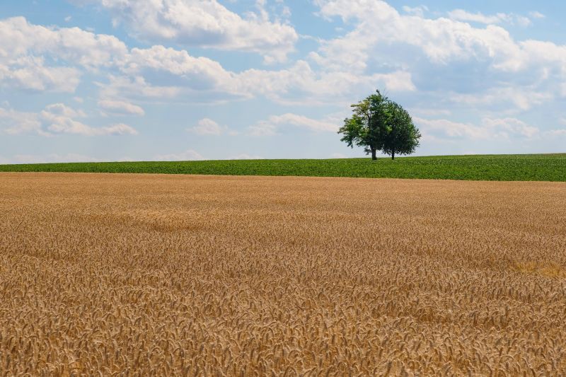 abstraktní,architektura,batoh,jízdní kolo,Černý a bílý,modrý