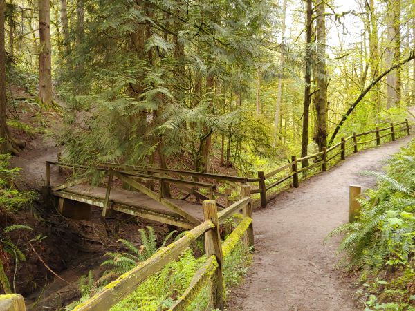 nebo,Washington Park,Portland