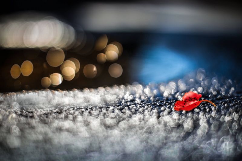 architektura,asijský,atmosféra,podzim,sáčky,Včela