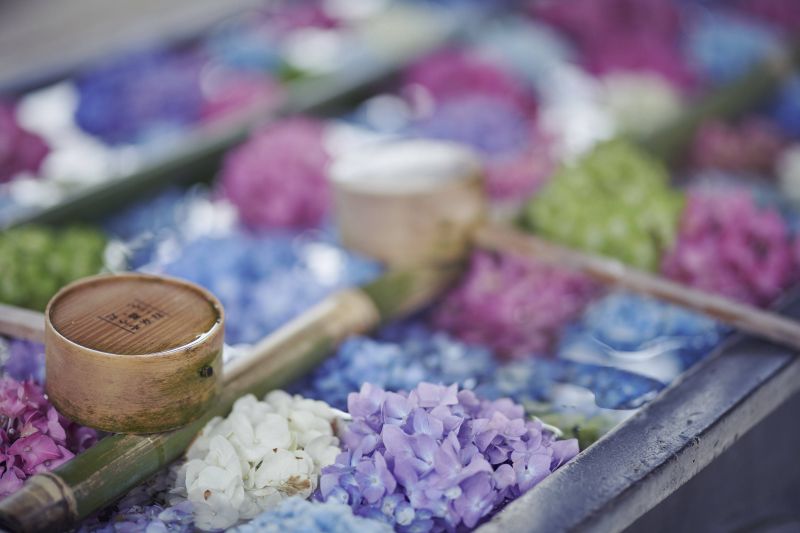 architettura,asiatico,atmosfera,autunno,borse,Ape