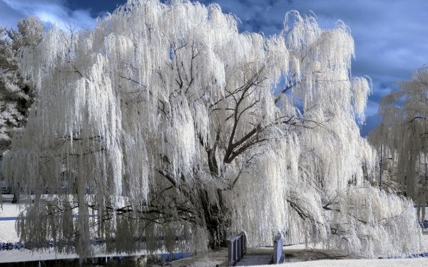 alepdias,bonita,linda,inverno