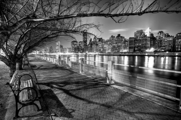 cityscape,night,architecture,portrait display,building,road