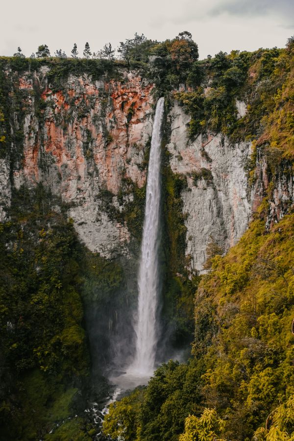 water,nature,waterfall,cliff,natural,forest