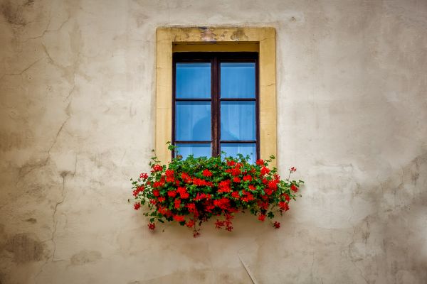 花