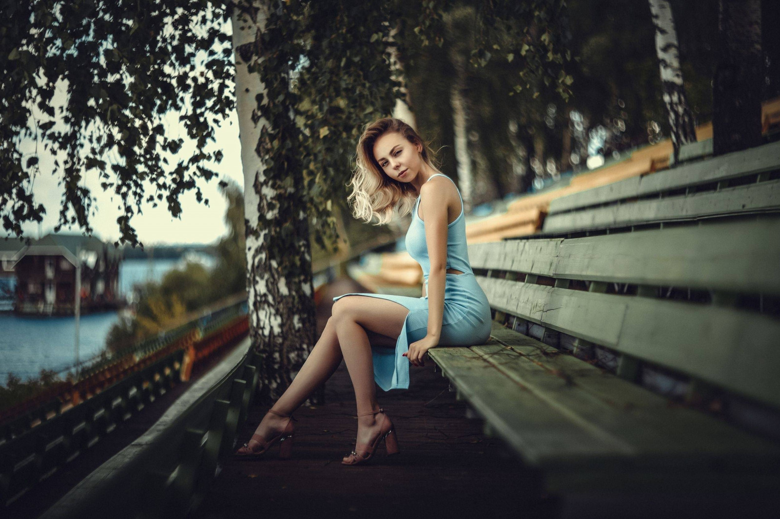 女性, 女の子, 女性