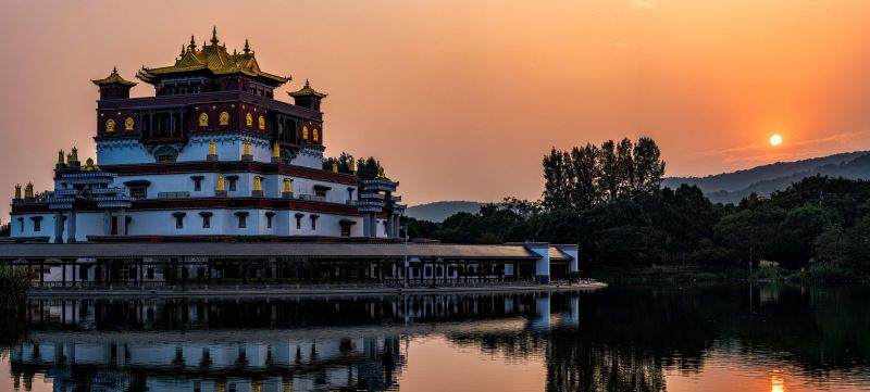 asiatisk,kaukasisk,barn,denim jacket,ældre,gråt hår