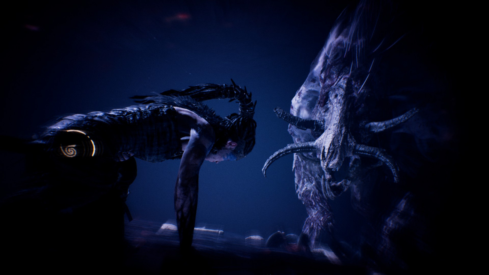 Wallpaper : Hellblade Senua's Sacrifice 1920x1080 - florinb - 1835751 ...