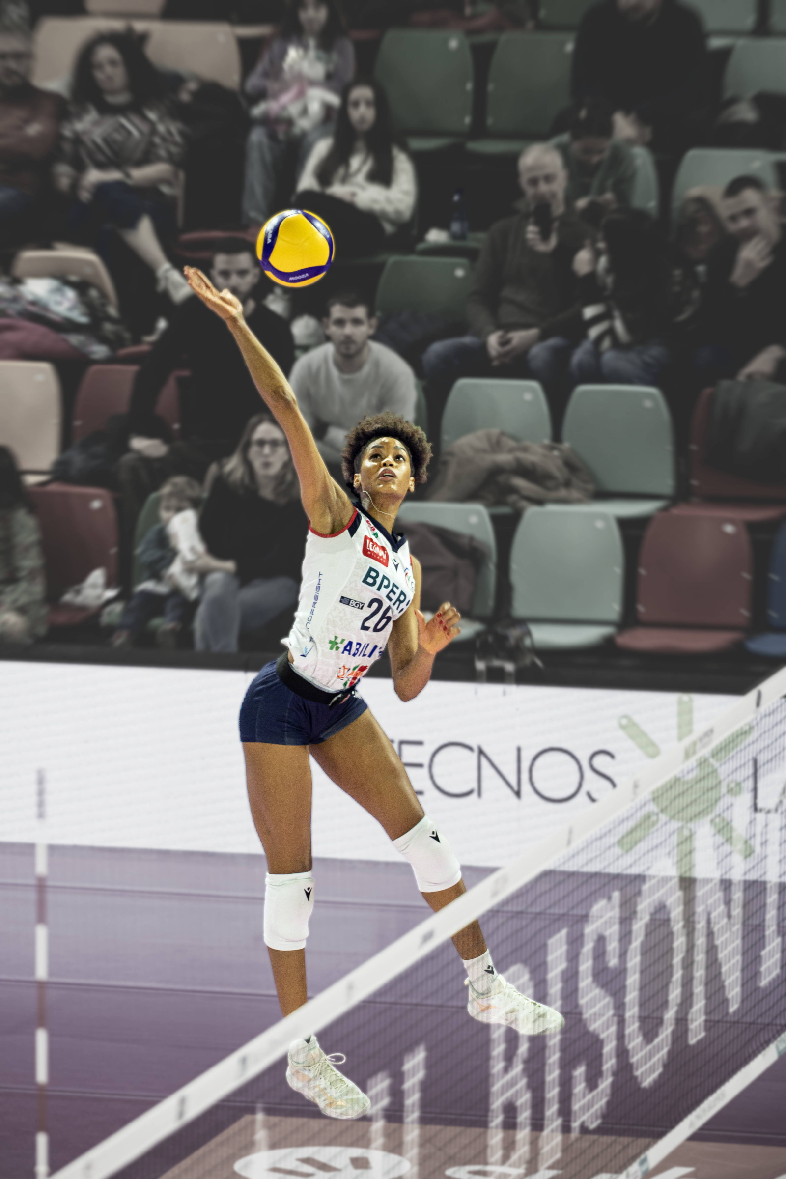 akce, sportovec, míč, trenér, soutěž, soud, ženský, krytý, trikot, skákání, síť, hráč, profesionální, šortky, tenisky, sport, tým, jednotný, volejbal, volejbalový hráč, žena