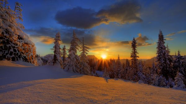nature