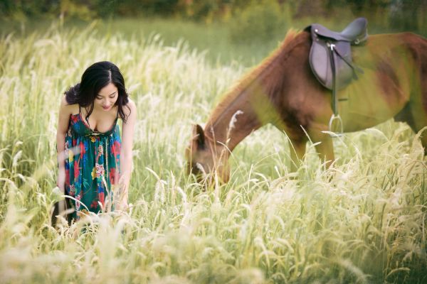 horse,beauty,bent,bust,long hair,prairie