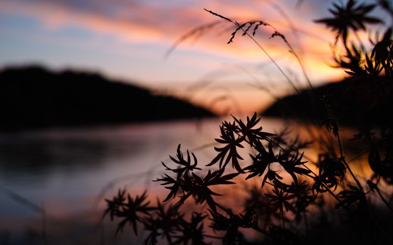 Hd,Natura,zachód słońca