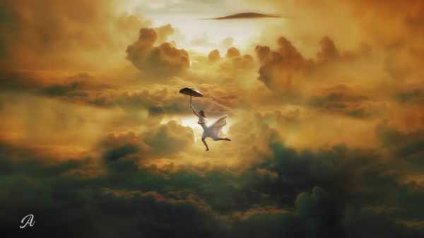 sky,bird,atmosphere,Fly,cloud,nature