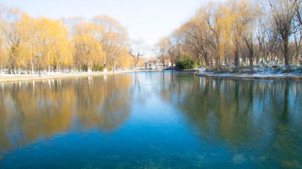 natural,water,sky,water resources,plant,Natural landscape