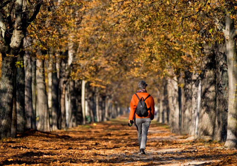 Абстрактные, архитектура, рюкзак, Велосипед, черное и белое, Синий