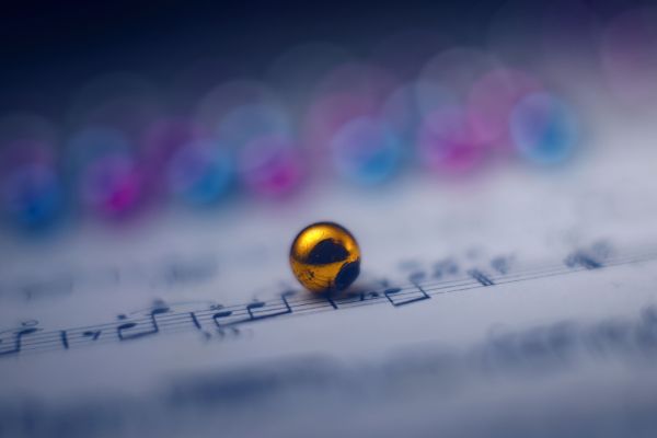 macro