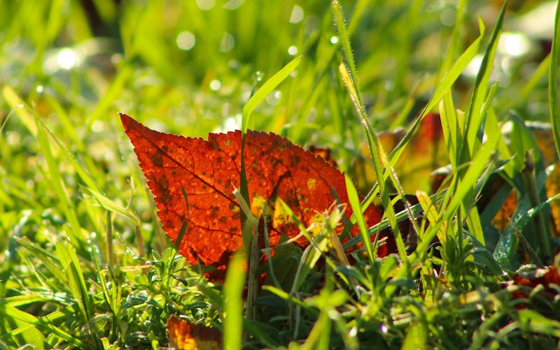 4k,meghatározás,tapéta